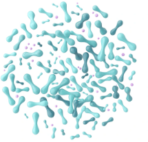 Sukre ingredient