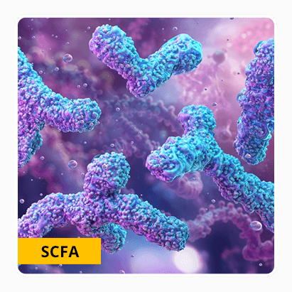 Gut bacteria and GLP-1 connection